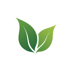 Two Green Leaves Nature and Eco-Friendly Symbol