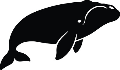 Silhouette bowhead whale swims gracefully underwater vector illustrator © Tamjida Alam