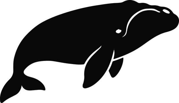 Silhouette bowhead whale swims gracefully underwater vector illustrator