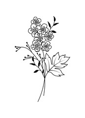 Hawthorn May Birth Month Flower Bouquet