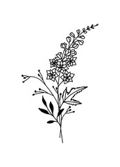 Larkspur July Birth Month Flower Bouquet