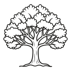 Fototapeta premium oak tree outline vector isolated on white