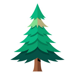 fir tree vector illustration