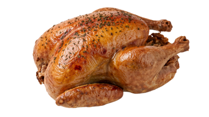 Golden roast turkey with herbs on isolated background for festive celebrations