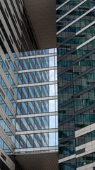 Fototapeta premium walls and windows of high business building bottom view