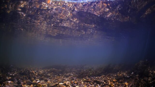 Wide Angle underwater shot of Chalk Stream with fish and river bed reflecting in surface