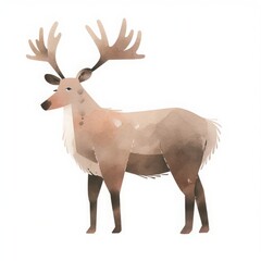 Polar animal on white isolated background, watercolor style, illustrations for children, north pole, winter