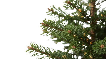 Lush evergreen christmas tree with lights against isolated background