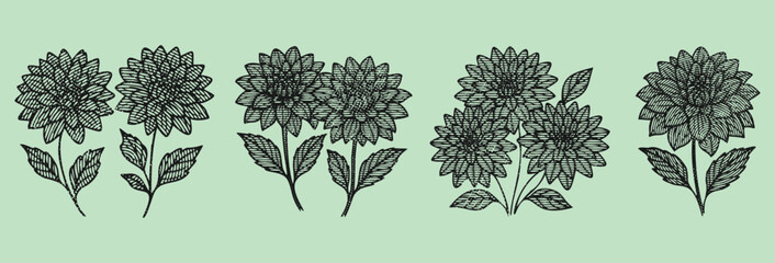 vector illustration of a flower photocopy line art