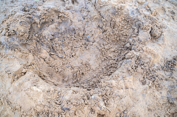 A CloseUp Photograph of a Sand Imprint or Depression Found in the Grounds Surface