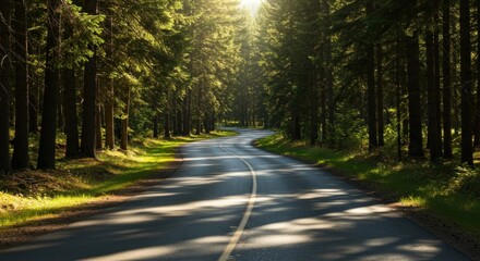 Obraz premium Curving asphalt road leads into a forest with sun filtering through tall trees casting shadows on the pavement
