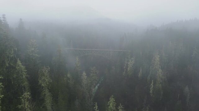 Majestic Drone Journey Over Mountain Pines Trough Fog And An Isolated Steel Vance Creek Bridge on Rainy Weather