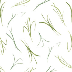 Grasses plant pattern isolated. Spring green seamless painting with greenery wild herbs. Minimal botanical repeated meadow grass background. Green watercolor brush lines for textile, packaging.