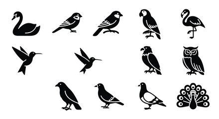 Vector silhouette illustration a seamless pattern of black bird silhouettes, including a hummingbird and a crow, on white