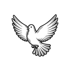 Obraz premium Illustration of a dove with spread wings in flight silhouette
