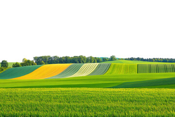 Rolling green and yellow fields with lush trees and clear sky isolated on transparent background