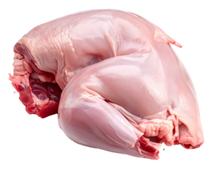 Raw rabbit carcass isolated on transparent background, ready for cooking