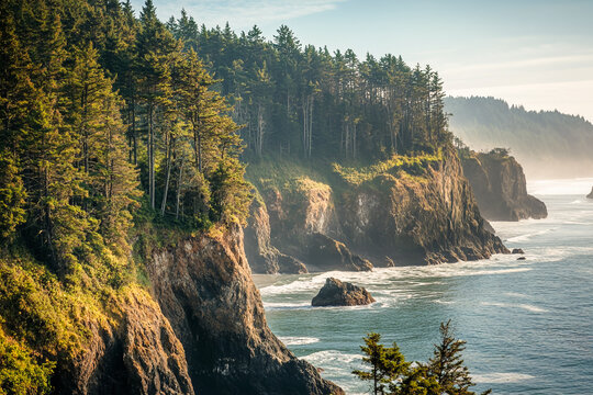 Rugged forest cliffs meet ocean waves rugged coastline