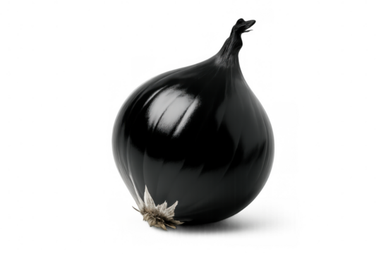 Glossy black onion, clipped from transparent backdrop, showcasing crisp texture and clean-edged silhouette for graphic design use