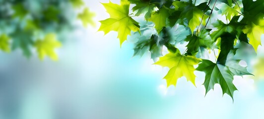 Obraz premium High definition fresh green background