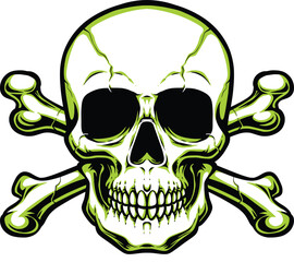 Skull with neon color