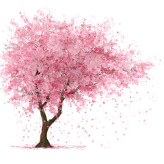 Obraz premium Lush pink cherry blossom tree, full bloom. Many petals fall