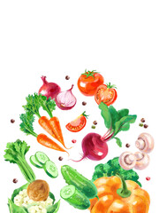 Watercolor painted spices and vegetables food product frame. Cookbook cover design, recipe book vector illustration