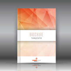 Fototapeta premium brochure design 1207