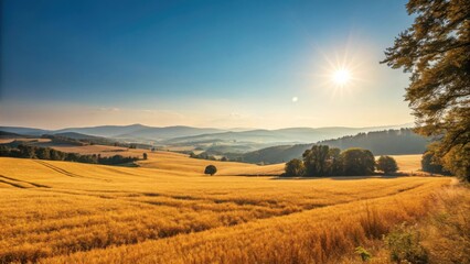 Obraz premium Golden wheat fields under a bright sunny sky