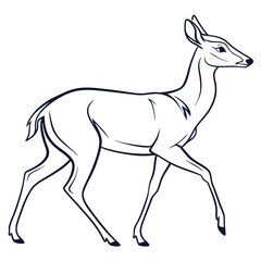 Fototapeta premium A vector cartoon illustration of a wild deer with a brown coat and tail, ideal for nature and wildlife art projects