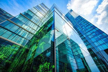 Modern city windows merge with dense woodland foliage in a dual-image vision of eco-friendly architecture meeting untouched natural beauty.