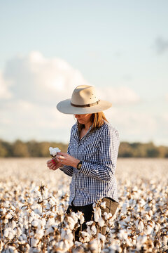 Female farmer looking at a cotton boll in the paddock
