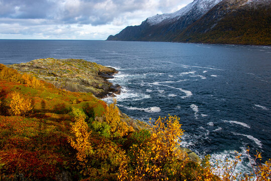 Autumn on Husoy Island - Norway