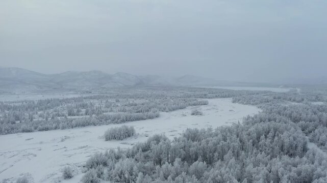 Aerial view of snow-laden trees and mountains blend into a monochromatic landscape of white and gray, a serene yet stark scene, Oymyakon, Sakha Republic, Russia.