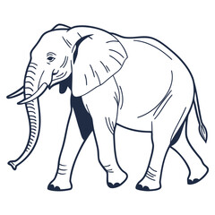 Fototapeta premium Baby elephant cartoon vector illustration: a wild, gray mammal with a trunk, standing isolated