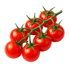 Branch of ripe tomatoes, white isolate background