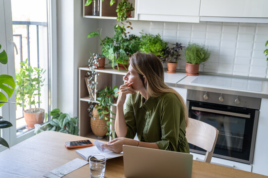 Thoughtful puzzled mature woman reviewing housing charges using laptop. Bill tracking, expense control, rising costs, financial concerns, savings efforts, monetary stress, payment organization at home