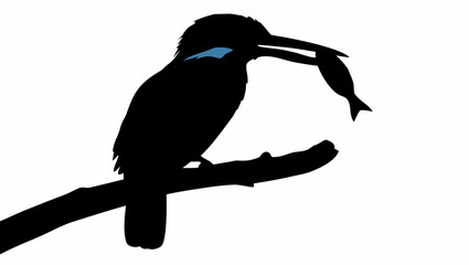 Obraz premium Silhouette of a bird perched on a branch holding a fish in its beak against a white background scene view