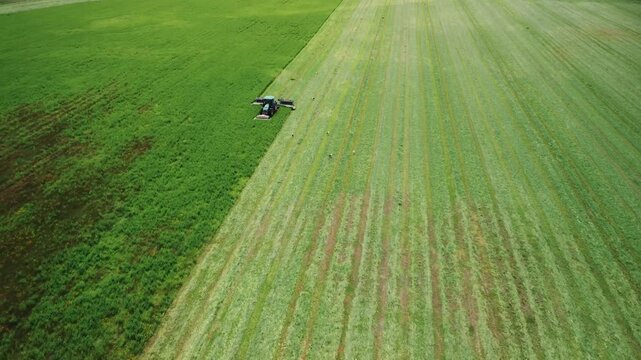 Tractor in field works with high-tech modern mower. Mowing grass with tractor with autopilot. Agricultural process. Cattle forage preparation in dairy farming. Aerial view. Preparation of haylage, hay