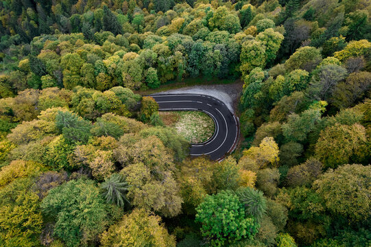 Aerial view of a winding road cutting through a dense forest with vibrant green and yellow foliage, Oltre il Colle, Lombardy, Italy.