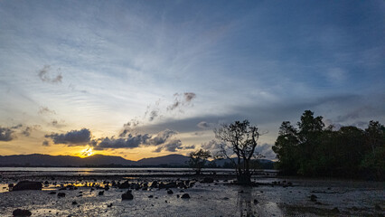 Golden hour unfolds in a mesmerizing time lapse as sunlight pours through the gaps in the mangrove trees. Gentle waves lap the shoreline, adding movement to this serene and meditative coastal scene.
