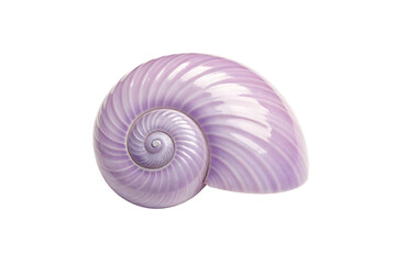 Light purple chambered nautilus shell with curved spiral design and lustrous pearlescent surface, isolated on a transparent background