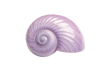 Light purple chambered nautilus shell with curved spiral design and lustrous pearlescent surface, isolated on a transparent background