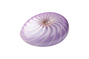 Purple spiral nautilus shell with swirled ridged patterns, isolated on a transparent background