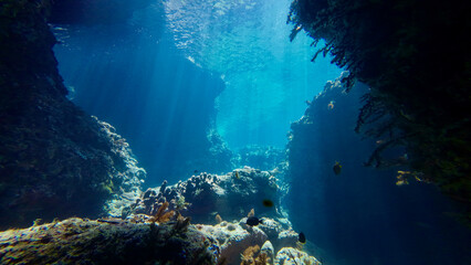 Sun rays inside an underwater cave. View from an underwater cave and sun rays passing through the thickness of the water. Underwater rocks and canyon.