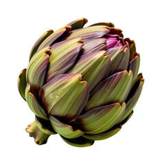 Obraz premium Close-up of a fresh green and purple artichoke head with detailed leaves isolated on white background showcasing natural textures and vibrant colors
