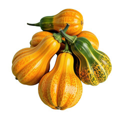 Colorful striped gourds arranged together with vibrant yellow orange and green tones and unique shapes on a white background for culinary decoration or fall harvest themes