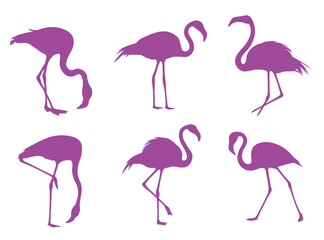 Obraz premium Set of simple pink flamingo silhouettes on white background. minimalistic and elegant design perfect for tropical themed projects, wall decor, branding and nature inspired layouts