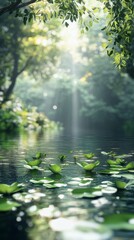 Fototapeta premium Peaceful Pond with Lily Pads and Sunbeams in Forest