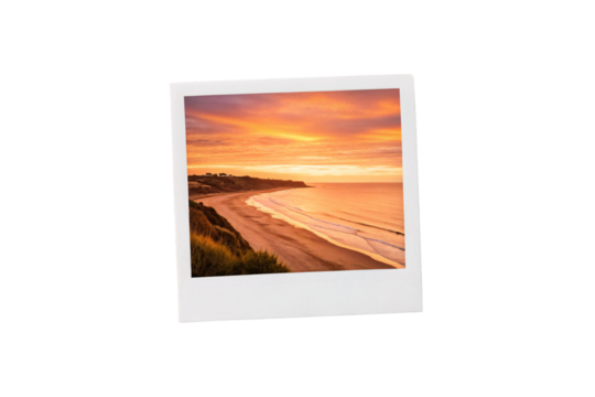 Golden sunset illuminates sandy beach with rolling waves and clifftop vegetation, isolated on a transparent background
